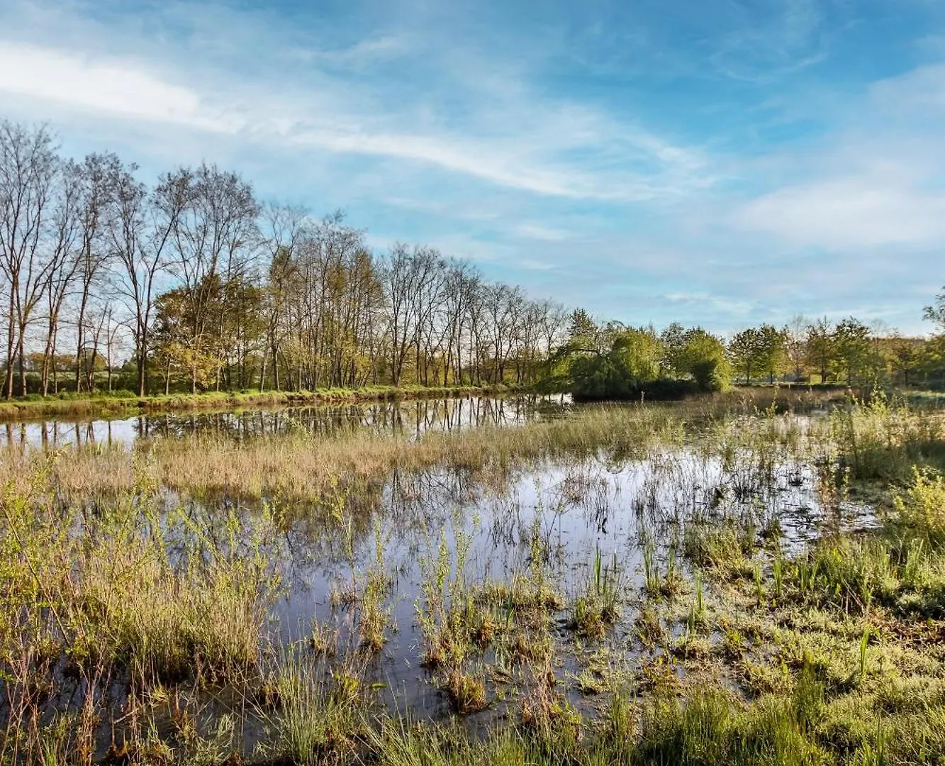 Domaine D'Aromm - Chambres D'Hotes & Gites - Piscine, Etangs & Animaux - Au Calme Ouches Gasthuis